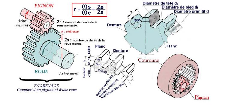 Troisième Organe de transmission : Les engrenages Vocabu10