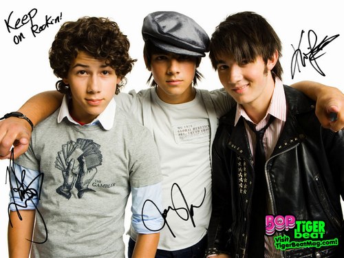 the jonas brothers Jonas-10