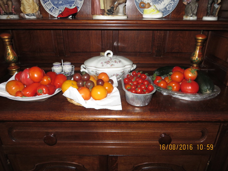 Tomates - Page 34 Img_1011