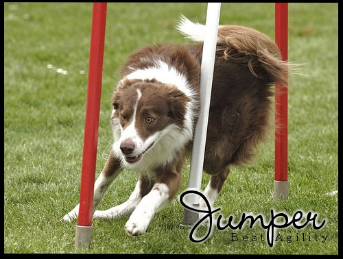 Jumper-PRIS PAR HORSIIE Jumper10