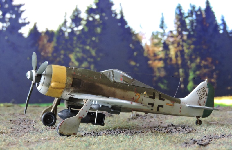 [Eduard] Focke Wulf 190F-8 début 1945 [ FINI ] Focke_22