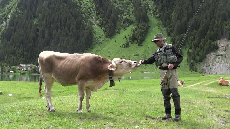 Le Tyrol autrichien  Gerlos15