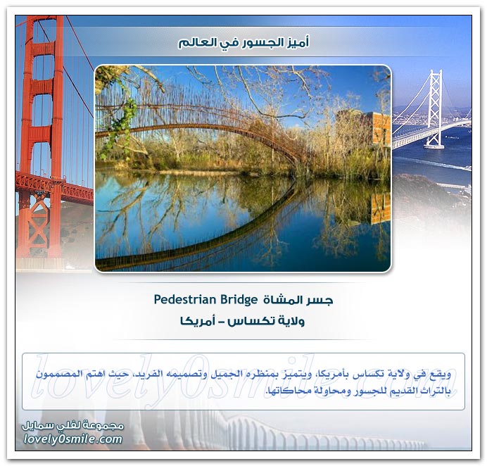 أميز الجسور في العالم  Topbri10