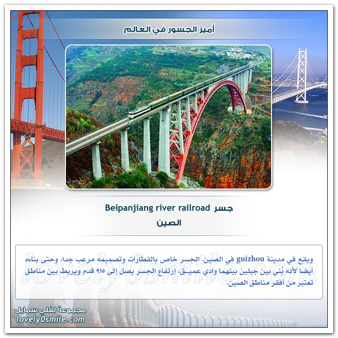 أميز الجسور في العالم  Topbri15