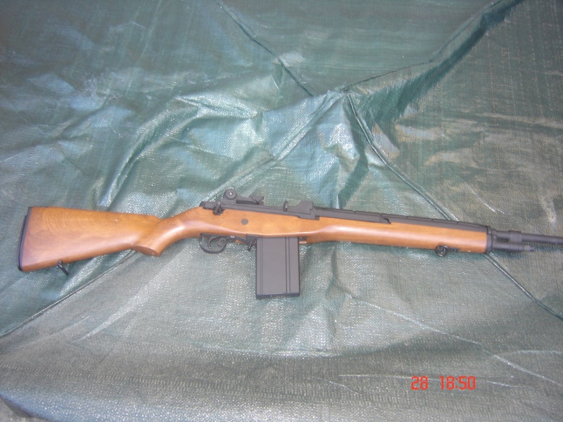 M 14 cyma Dsc05610