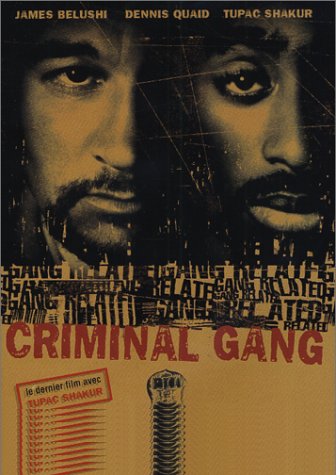 Criminal Gang 12121910