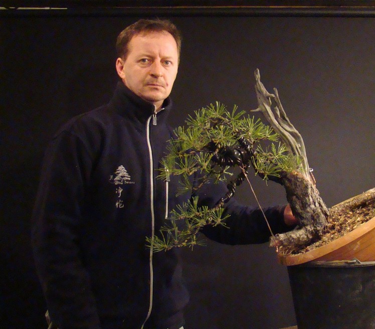 Pinus sylvestris - restyling 2011 (owner my friend Jirka) Rep_910