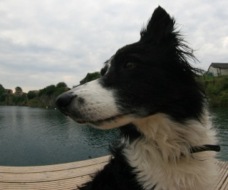 Charlie at Capernwray Img_0511