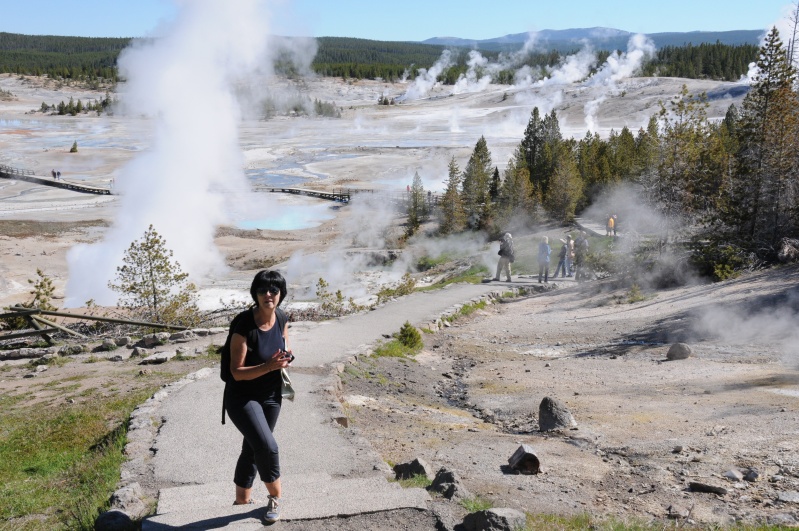 Parc National Yellowstone Dsc_7511