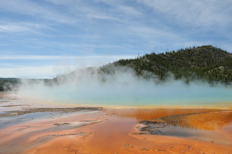 Parc National Yellowstone Dsc_7710