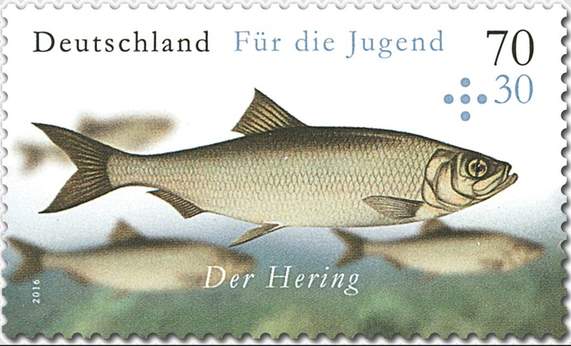 Österreich - Fische Jugend18