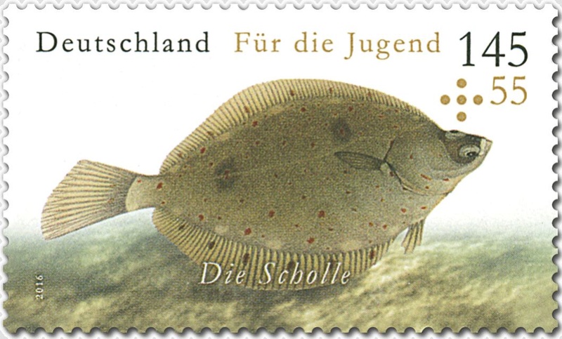 Liechtenstein - Fische Jugend20