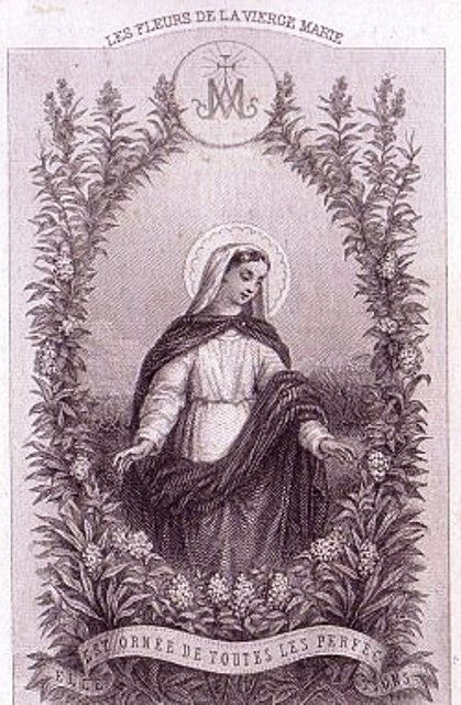 La Très Sainte Vierge Marie et les fleurs Op010