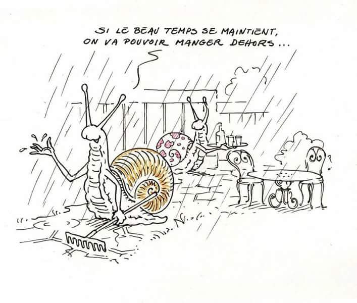  Dessins et Photos humoristiques - Page 28 Fb_img11