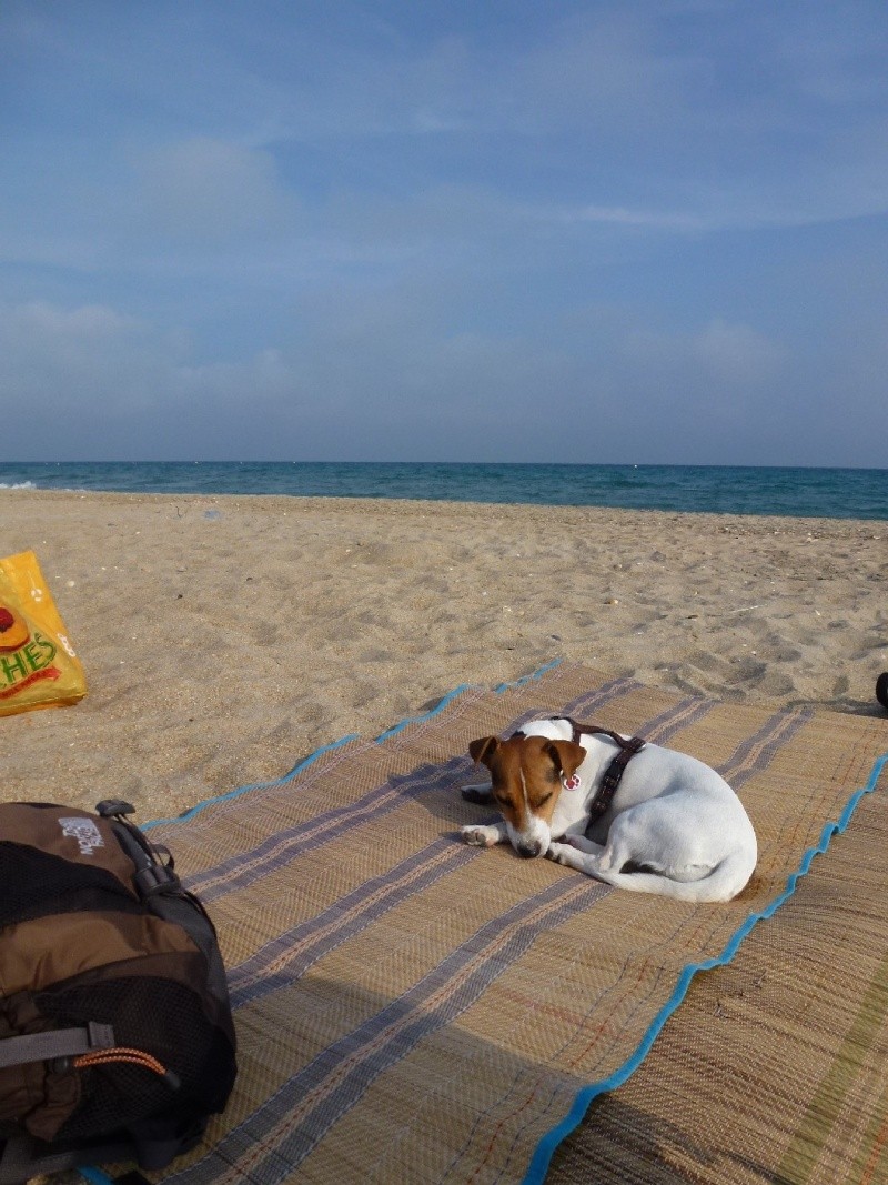 Vacanze in Languedoc Stanca10