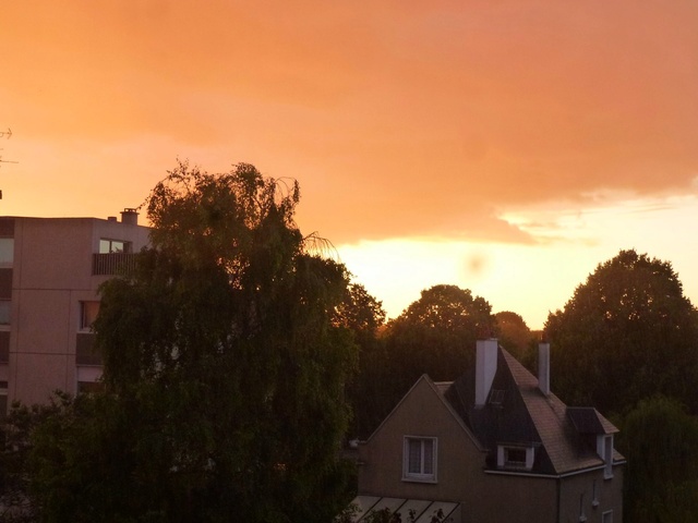 Le ciel va tomber sur notre tête ! - Page 32 P1140711