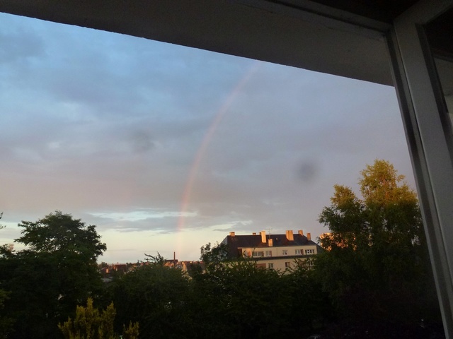 Le ciel va tomber sur notre tête ! - Page 32 P1140712