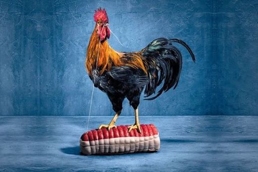 Peintures d'histoire pas trop moches Brexit10