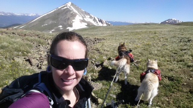 Hiking with Dogs~ Mt. Boreas, 13,082ft~Failed Summit 20160611