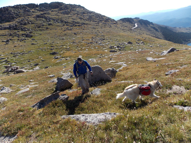 Hiking with Dogs~ Rogers Peak 13,391 & Mt. Warren 13,307, Colorado  Dscn3914