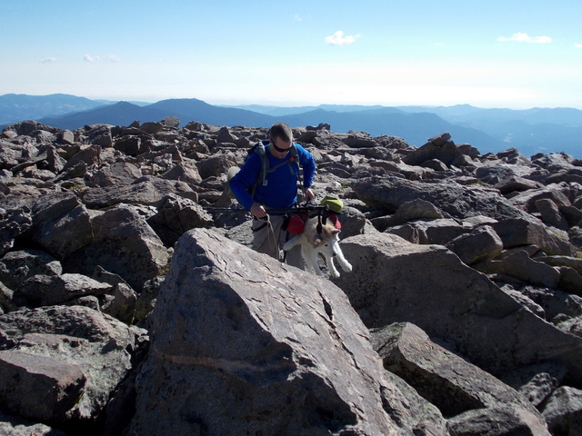 Hiking with Dogs~ Rogers Peak 13,391 & Mt. Warren 13,307, Colorado  Dscn4012