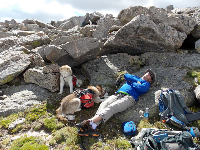 Hiking with Dogs~ Rogers Peak 13,391 & Mt. Warren 13,307, Colorado  Dscn4015