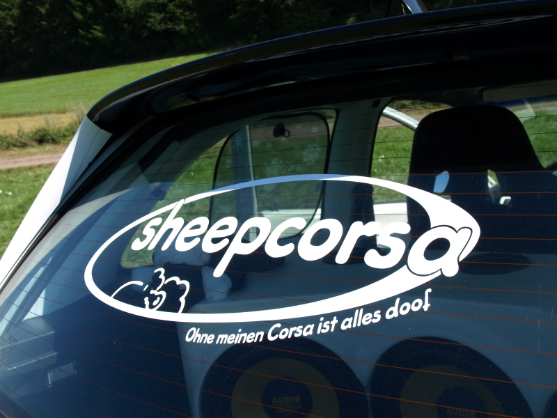 Sheepcorsa (ex Black&White) / Neue Bilder - Seite 2 P8079016