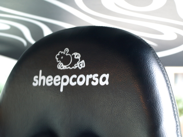 Sheepcorsa (ex Black&White) / Neue Bilder - Seite 2 P8189211