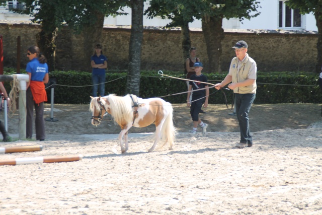 Salon Chevaux du Monde Img_0312