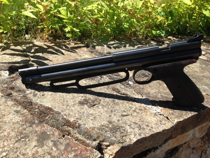 CROSMAN 1377 custom