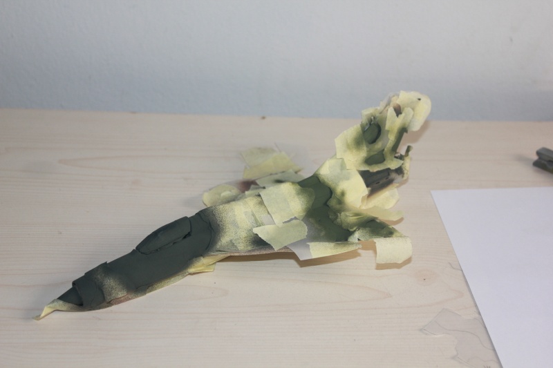 1/48 Mig 21 PF/ PFM Revell FINI - Page 2 Img_1423