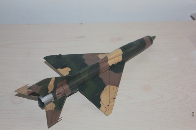 1/48 Mig 21 PF/ PFM Revell FINI - Page 2 Img_1428