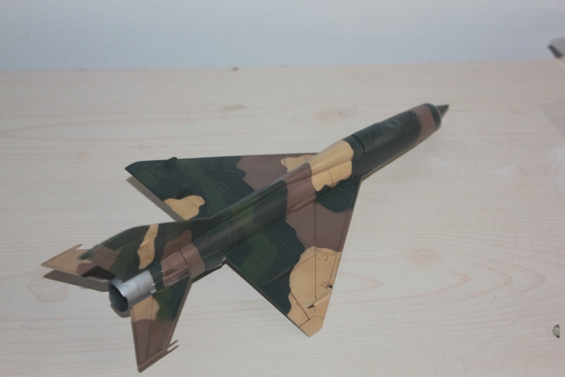 1/48  Mig 21 PF/ PFM   Revell    FINI - Page 2 Img_1428