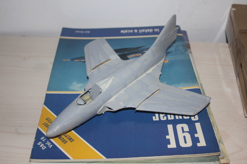 F9 F8 COUGAR 1/48 (FM et scratch) Img_1540