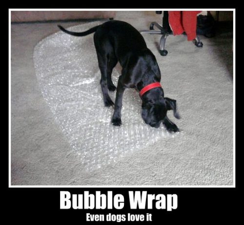 Funny Animal Photos - Page 35 Bubble10