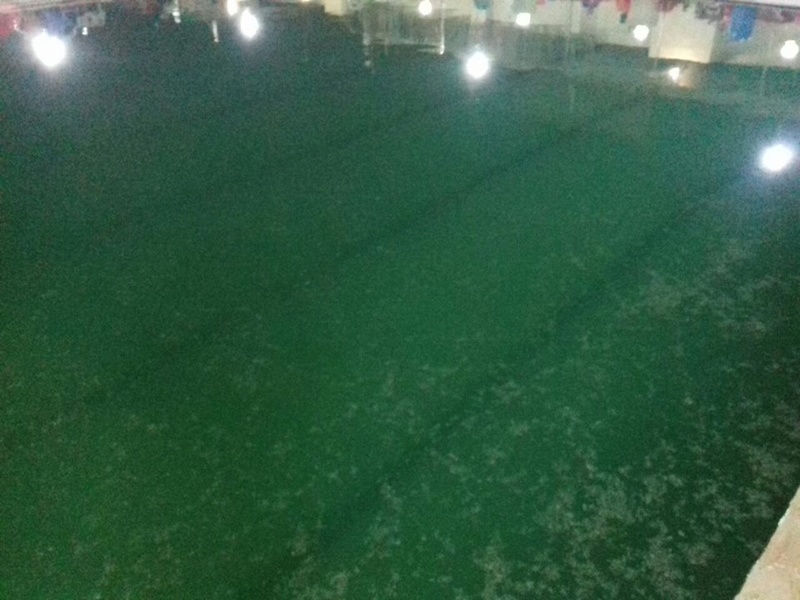 معالجة حمامات سباحة مكشوفة سعة 600 متر مكعب واعادة تاهيلها 14079910