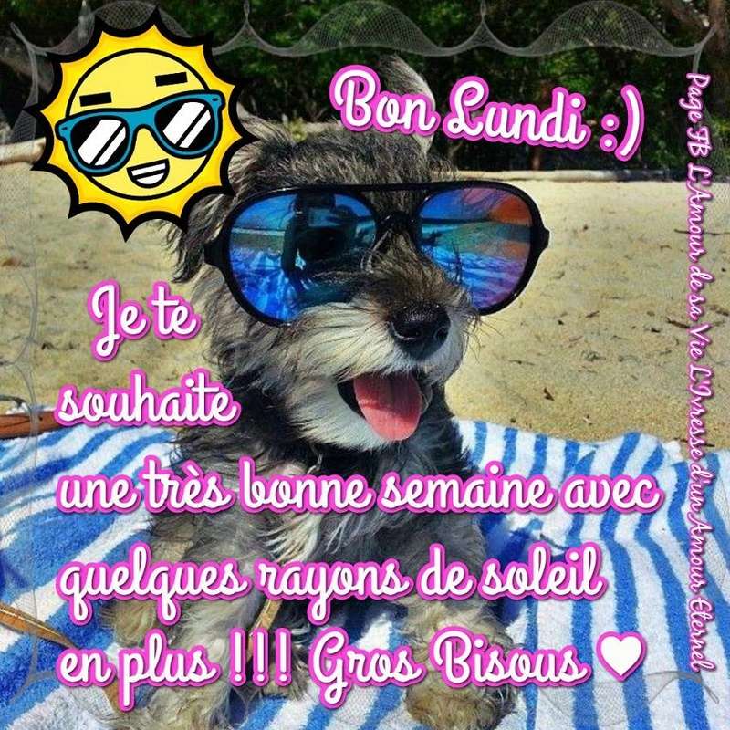 cairns de Juillet 2016 - Page 5 Lundi_12