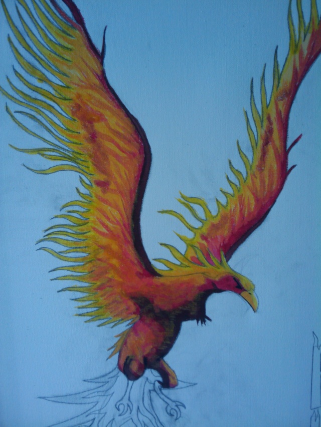 phoenix 2010-013