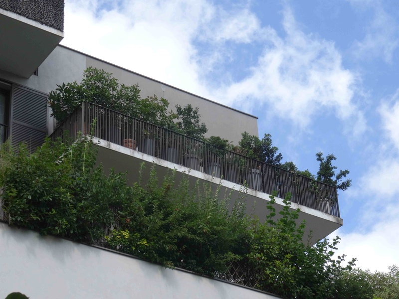 Balcons et terrasses les plus verts Dsc00918