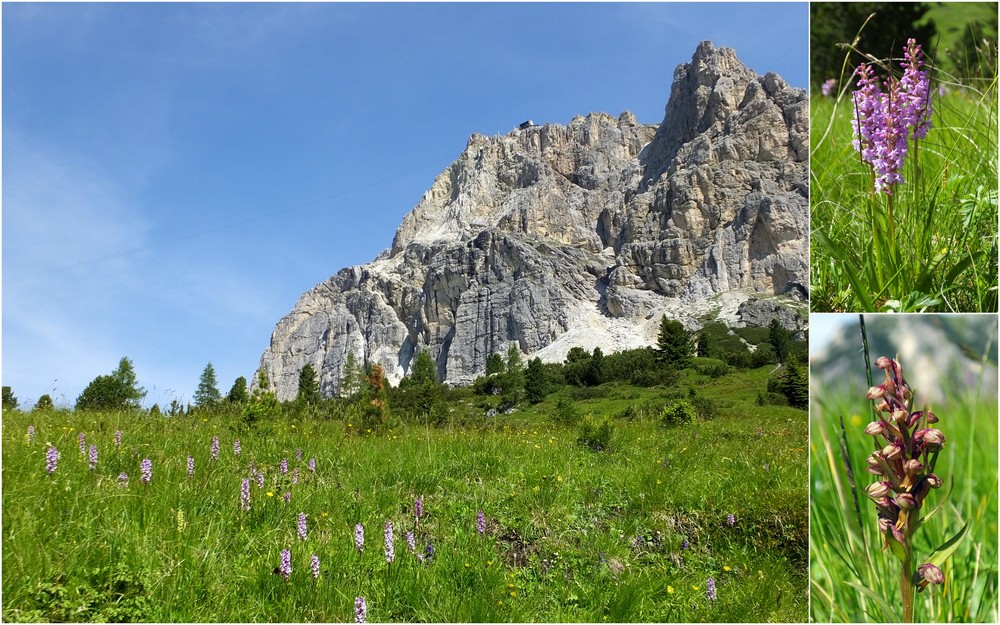 Dolomites Passo Falzarego Juillet 2016 3_lagu10