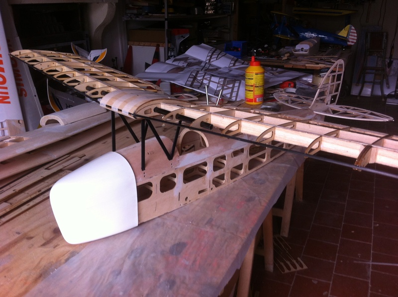 Construction d'un Tiger Moth en semi-maquette Img_1643