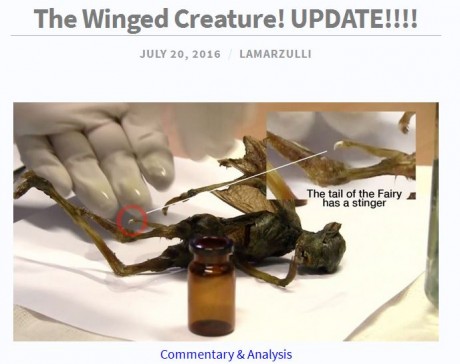 WHAT IS THAT? COULD THIS BIZARRE WINGED CREATURE BE A FAIRY, AN ALIEN OR A LOCUST FROM THE BOOK OF REVELATION? The-wi10