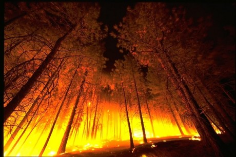 END OF THE AMERICAN DREAM - AN "UNPRECEDENTED" WILDFIRE HITS CALIFORNIA AT THE SAME TIME "UNPRECEDENTED" HEAT STRIKES THE EAST COAST Wildfi11