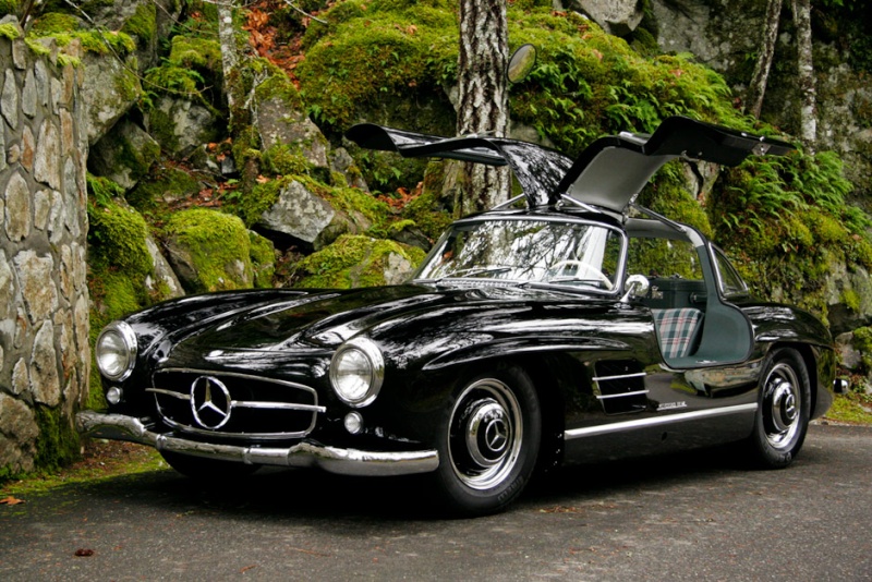[Photos] Galerie : La Mercedes 300 SL (W198) 1954-1962 Gullwi10