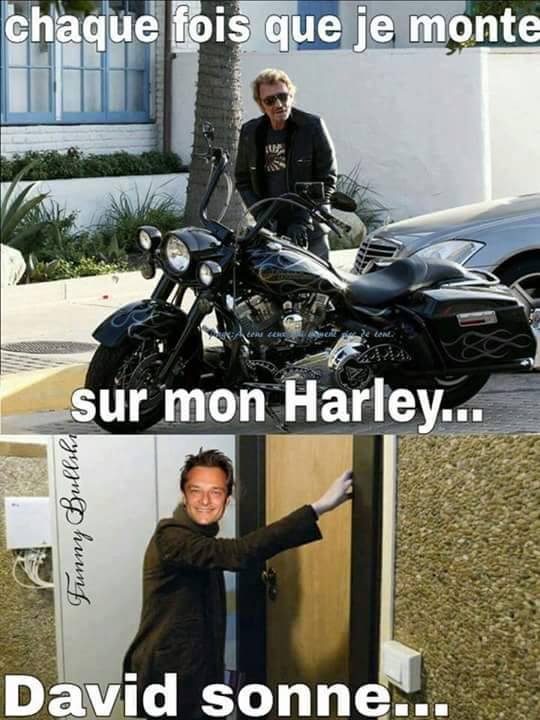 Harley.... Harley10