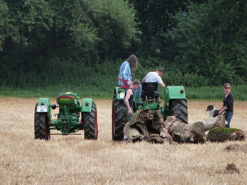 68 - Hattstatt : Tracteur Traffa, 30-31 Juillet 2016 - Page 2 P1120513