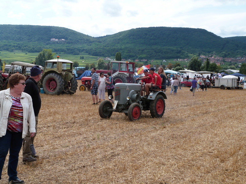 68 - Hattstatt : Tracteur Traffa, 30-31 Juillet 2016 - Page 2 P1120528