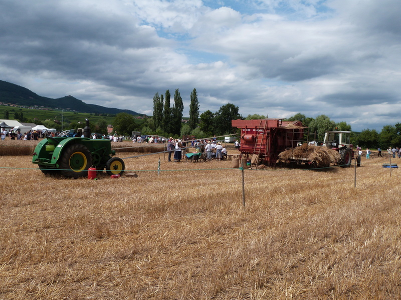 expo :"Tracteur Traffa"  à  Hattstatt (Alsace) Vieux_72