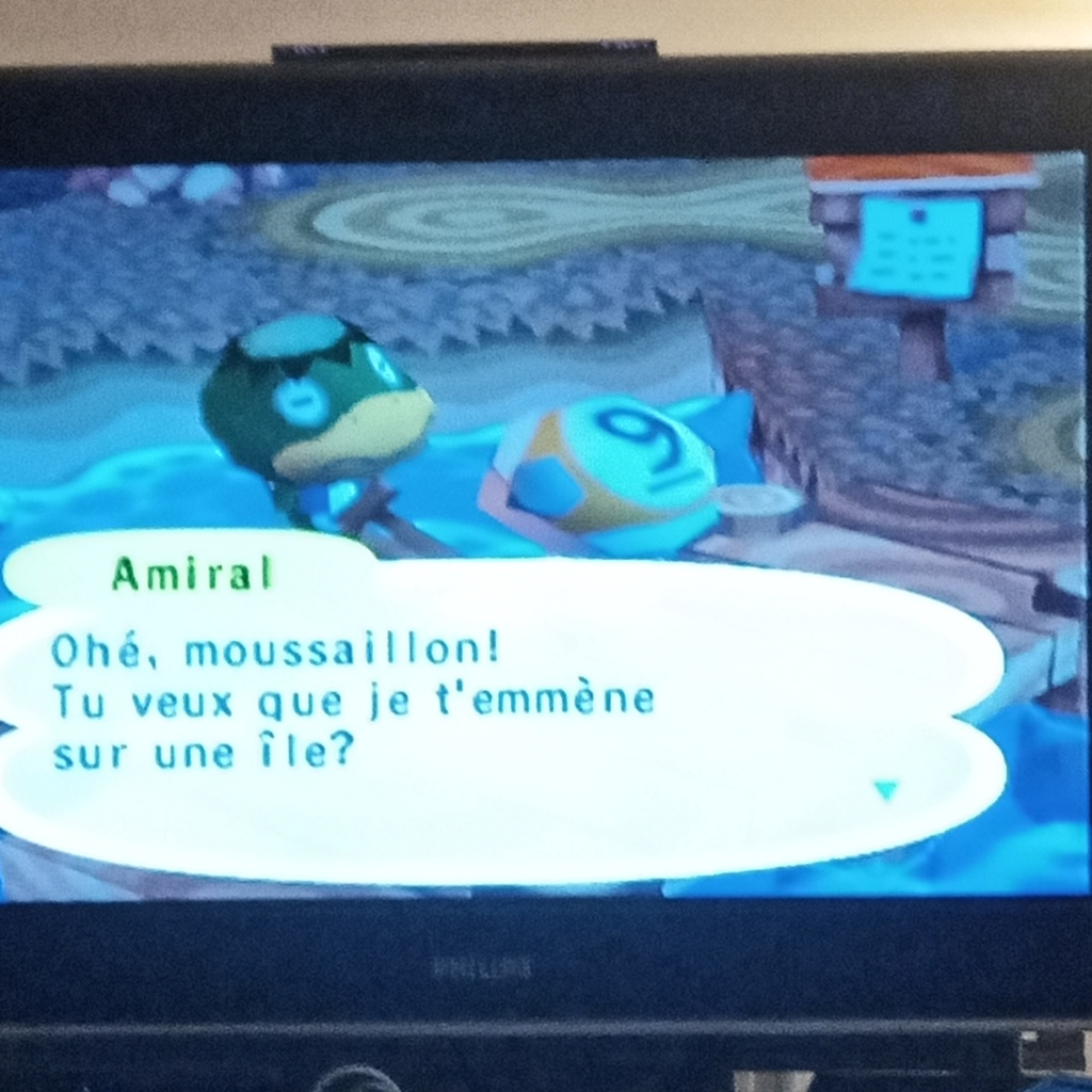 Animal crossing (GC) sur wii, connection GBA sp [résolu] Img_2051