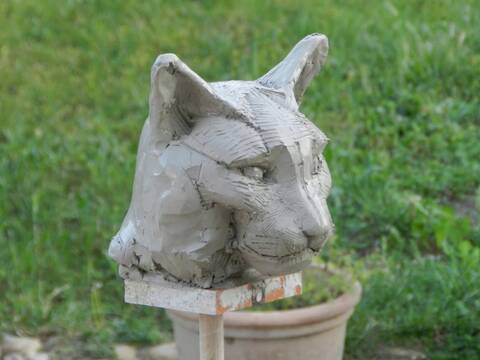 Tete De Chat